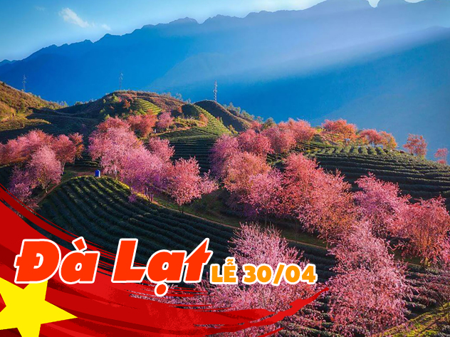 Du lịch Lễ 30/4 - Tour Đà Lạt - Đồi Chè Cầu Đất - Cafe Mê Linh từ Sài Gòn 2024 Du lịch Lễ 30/4 - Tour Đà Lạt - Đồi Chè Cầu Đất - Cafe Mê Linh từ Sài Gòn 2024